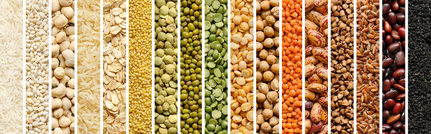 Why Choosing Organic Pulses Makes a Difference for Your Family